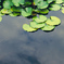 Water's surface
