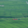 只見線と田園風景