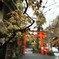 京都での一コマ
