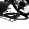 Shadow