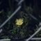 佇ム君ヲ