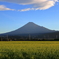 いつもの場所で　Ⅲ