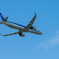 米子鬼太郎空港　ANA離陸