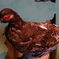 鳥のはく製