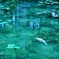 優游涵泳