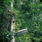 公園脇
