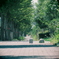 夏の路上