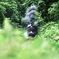 Welcome to the jungle !!
