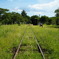 小湊鉄道5