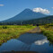 夏の富士山