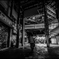 monochrome