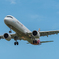 asiana 8.24