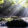 広河原の夏