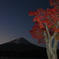 momiji4