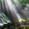 Shining light