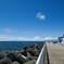 陸と海と空と