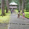 苔宮とも呼ばれる平泉寺白山神社