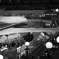 FLIGHT OF DREAMS