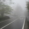 霧の道路…