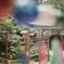 ⋆* filmで綴る…風鈴神社にて ⋆*