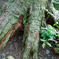 DSC00986