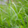 photo_1259034