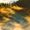 雲と木と光と