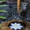 古民家の花手水