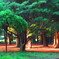 代々木公園