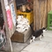 磯の香り