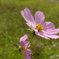 P9070044