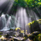 Shower of light