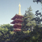 塔
