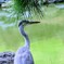 松の木陰で一休み