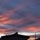 DSCF2759