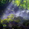 Shining light