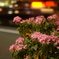 DSC01722