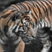 上野動物園