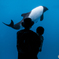 仙台うみの杜水族館