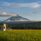 移り行く風景