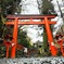 鳥居⛩️