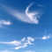 青空を泳ぐ妖精たち
