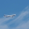 千歳空港