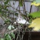 すやすや…
