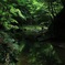 森の中の小川