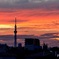 夕焼け空にそびえ立つ