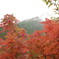 山はもう紅色