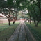 韓国　宗廟