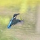 あ〜またやってしまった！