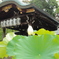 夏の京都　粟田神社